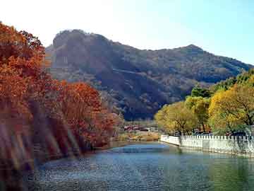 天天彩好彩天天免费，山药专用肥